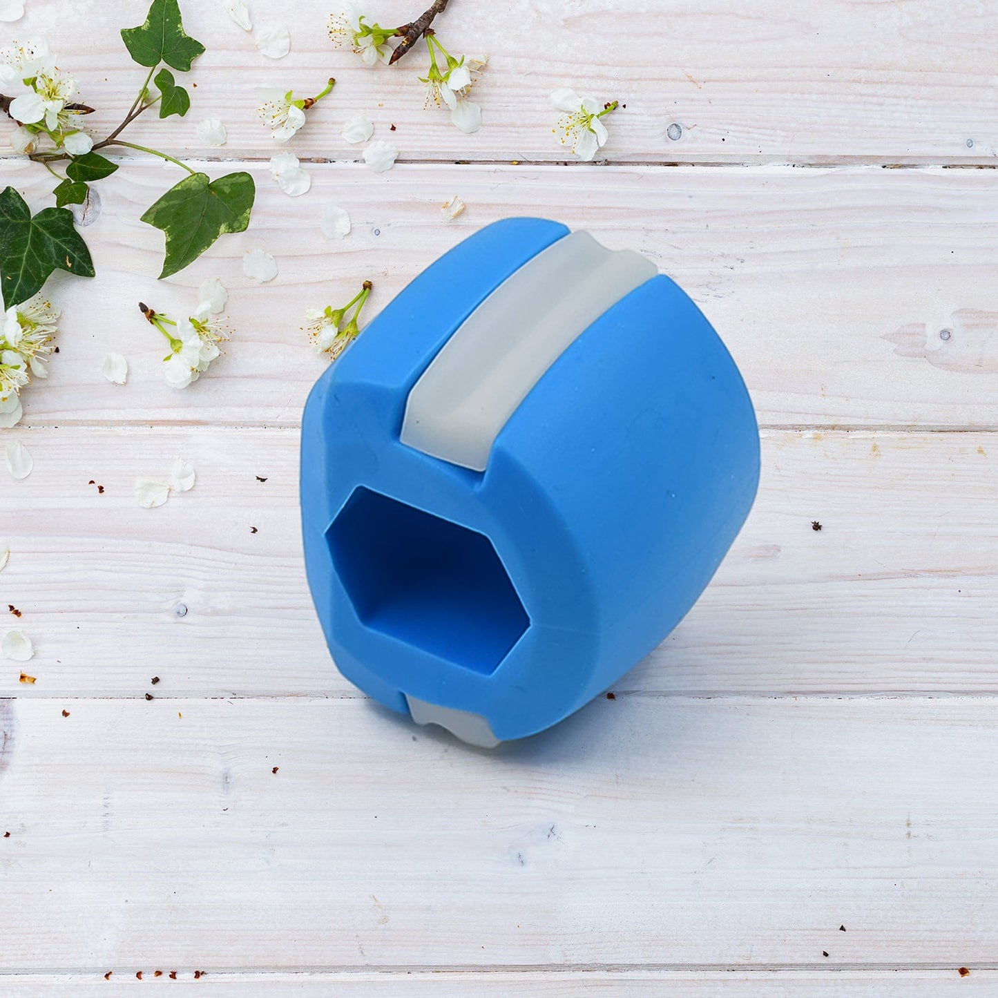CN Blue Mouth Exerciser ��� Fast Jaw Sculptin
