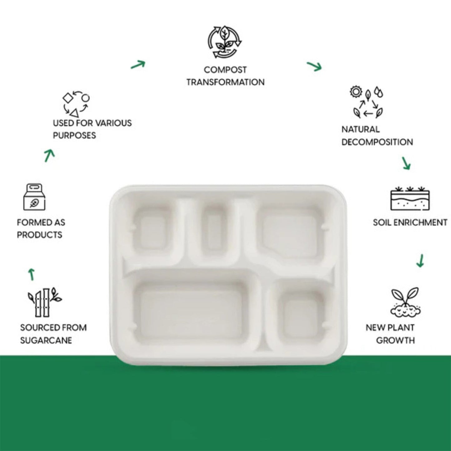 5-Compartment Rectangle Lunch Compostable Bagasse Plate ��� 10 Pc